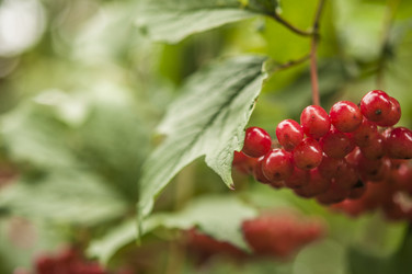 Similar image 21190732