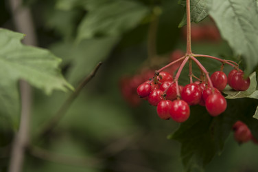 Similar image 21190733