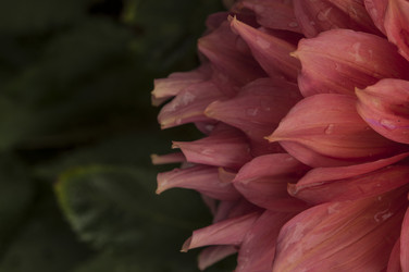 Similar image 21190734