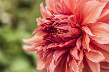 Similar image 21190736