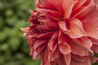 Similar image 21190737