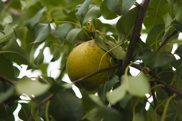 Similar image 21190743