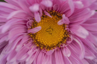 Similar image 21190745