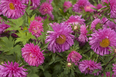 Similar image 21190746