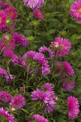 Similar image 21192436