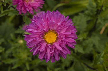 Similar image 21192437