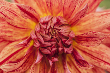 Similar image 21192439