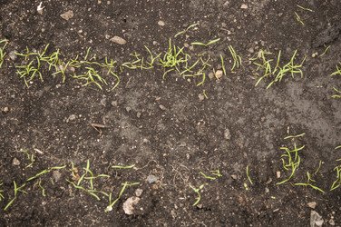 Similar image 21198613