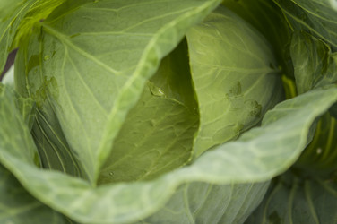 Similar image 21198614