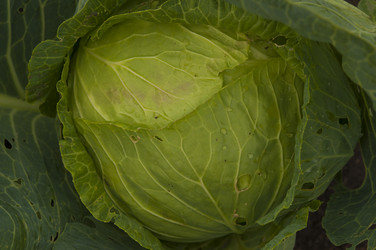 Similar image 21198616