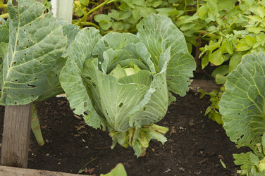 Similar image 21198617