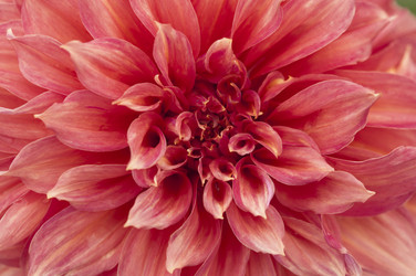 Similar image 21198620