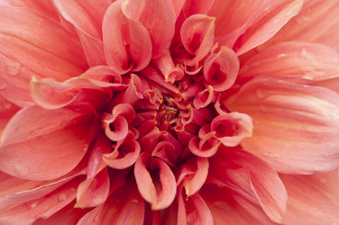 Similar image 21198622