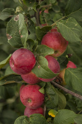 Similar image 21198624