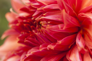 Similar image 21198626