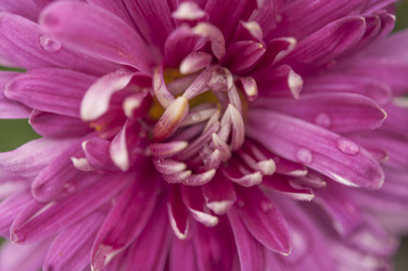 Similar image 21198628