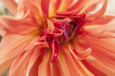 Similar image 21198629