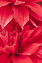 Similar image 21198630