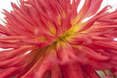 Similar image 21198631