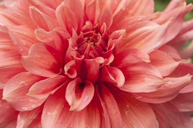 Similar image 21198632