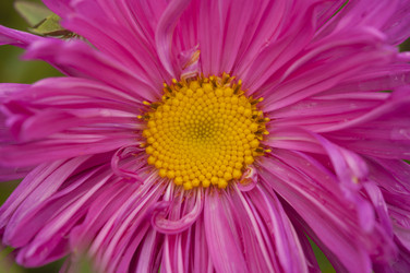 Similar image 21198633