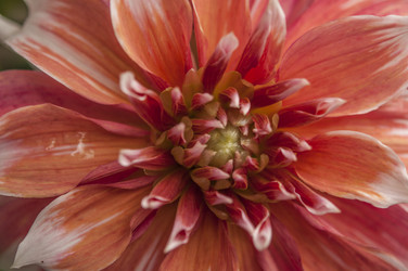 Similar image 21198634