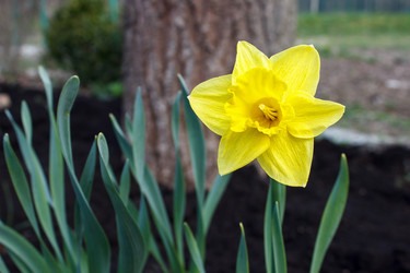 Similar image 21155397