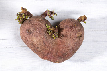 Similar image 21157256