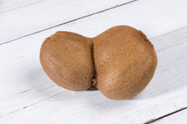 Similar image 21157262