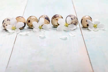 Similar image 21157290