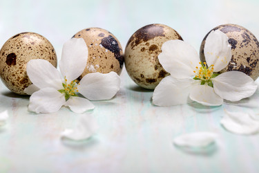 Similar image 21157291