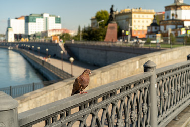 Similar image 21157314