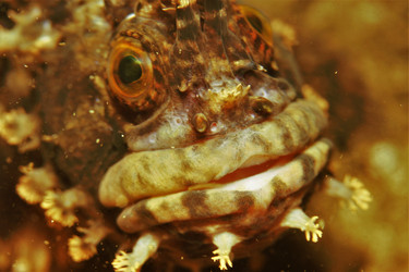 Similar image 21167186