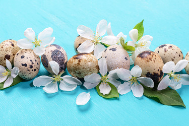 Similar image 21157324