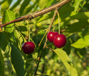 Similar image 21154498