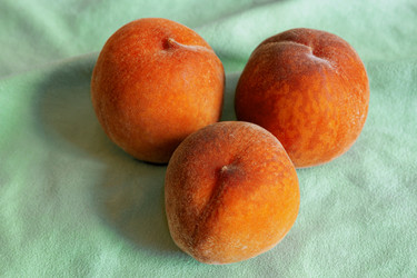 Similar image 21154500