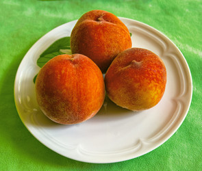 Similar image 21154501