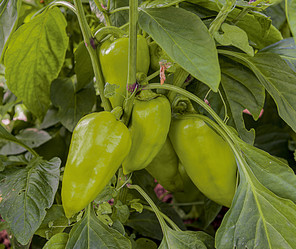 Similar image 21154503