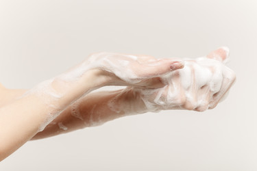 Similar image 21187695