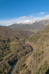 Similar image 21154950