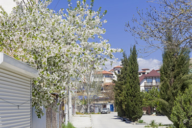 Similar image 21154963