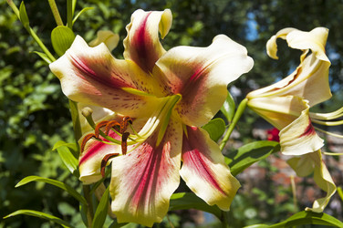 Similar image 21154964