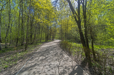 Similar image 21154968