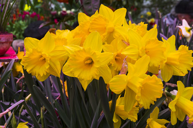 Similar image 21154969