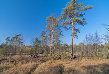 Similar image 21154971