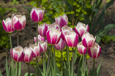 Similar image 21154974