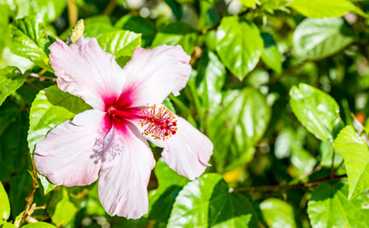 Similar image 21154514