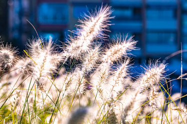 Similar image 21154534