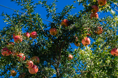 Similar image 21154536