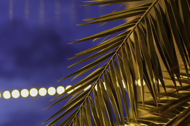 Similar image 21157334